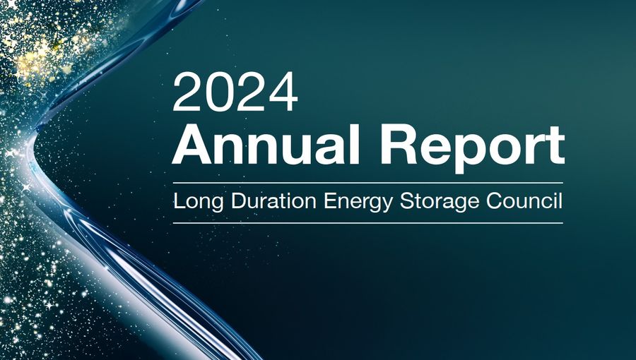 Long Duration Energy Storage Report 2024