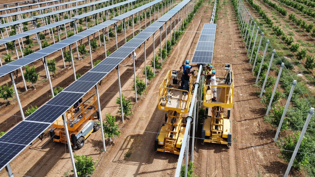 Agri-PV: Transforming Agriculture and Energy in Italy