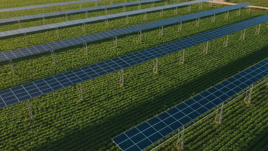 Agrivoltaics Could Feed Over Two Billion People Globally