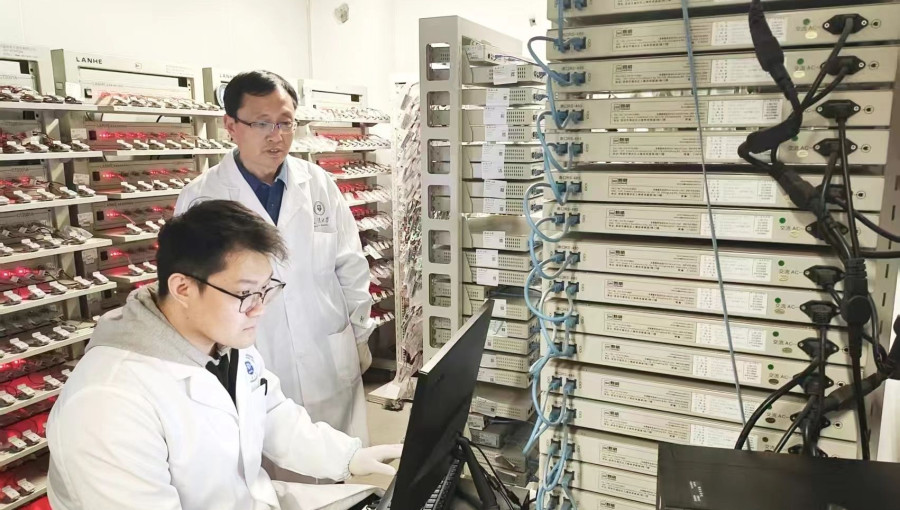 Breakthrough Organic Battery Operates In Extreme Conditions