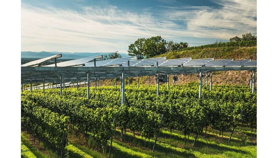 Germany Launches 475 MW Renewable Energy Innovation Tender