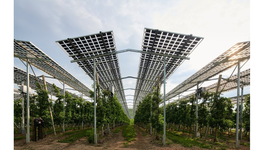 Germany's Agrivoltaic Potential: 500 GW and Beyond