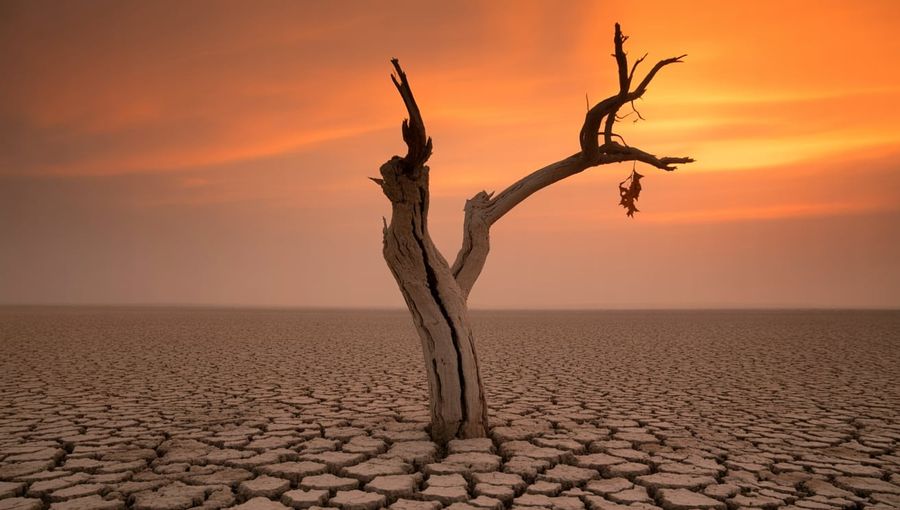 Insurers Warn: Climate Crisis Threatens Coverage Stability