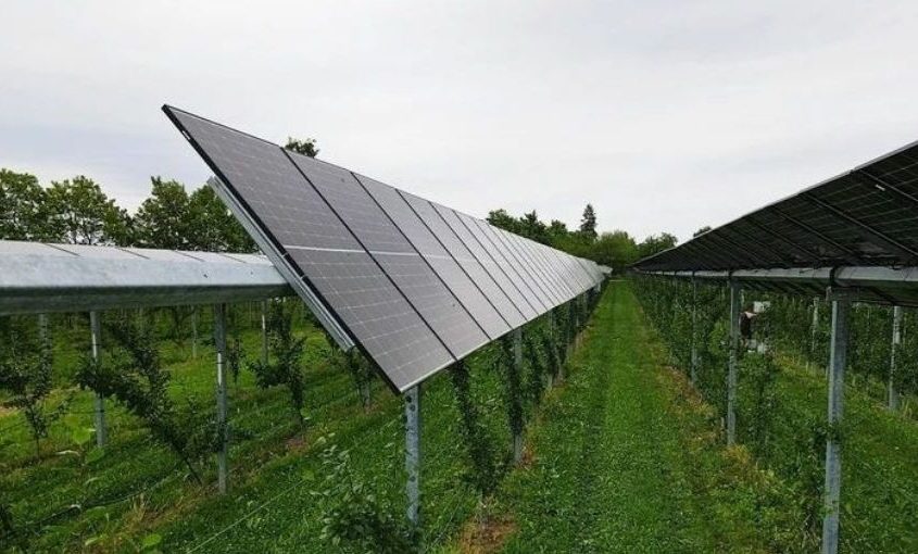 Innovative Agrivoltaics: Empowering Farmers with Solar Solutions
