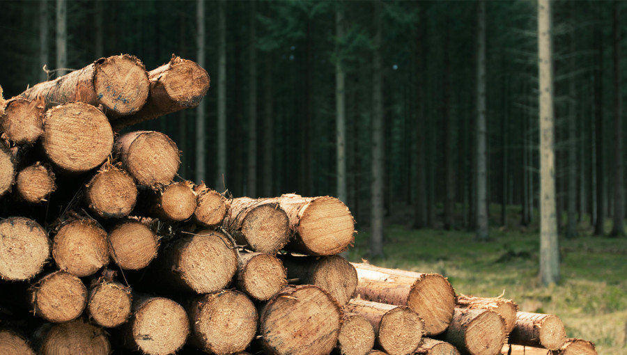 New Electrochemical Method Turns Wood Waste Into Fuel