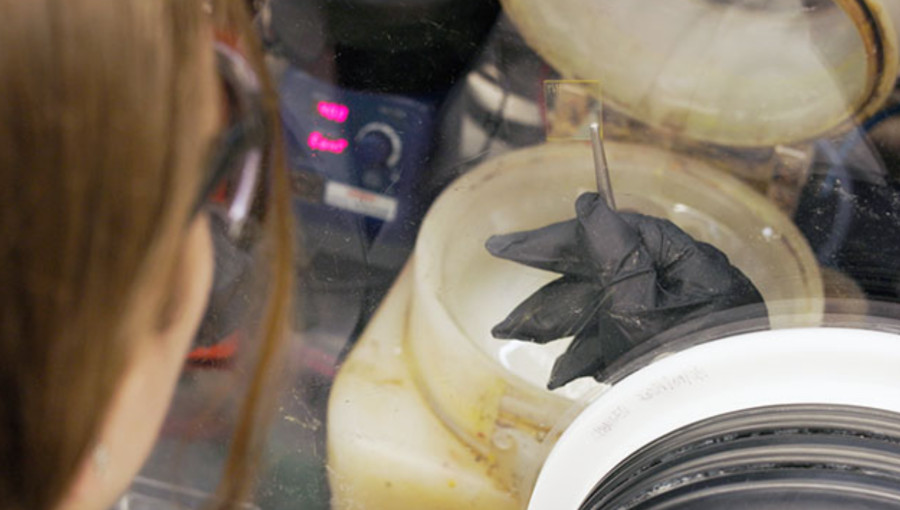 Long-Lasting Solar Panels Developed with Perovskite