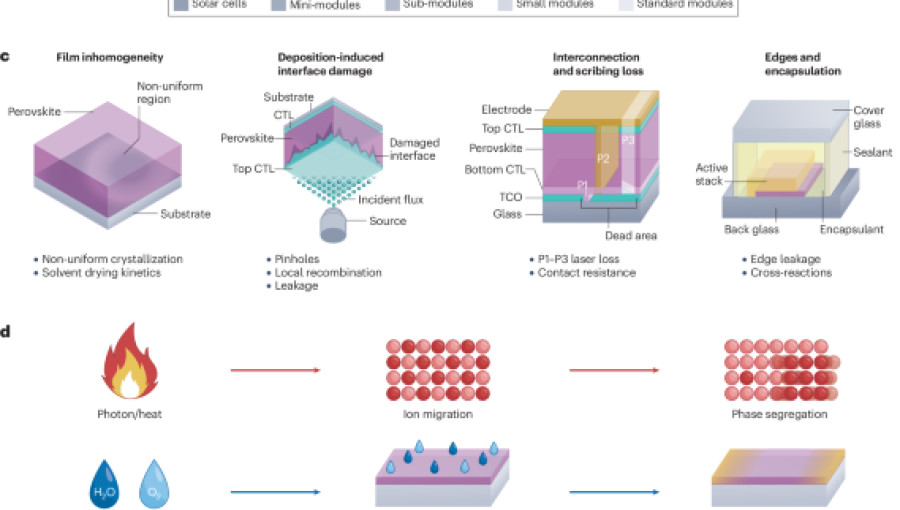 Perovskite Solar Industry Shifts Focus Toward Mass Production Scalability