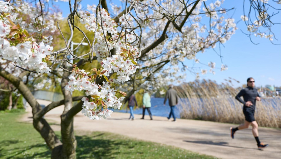 Public Parks Deliver Significant Economic And Climate Resilience Benefits