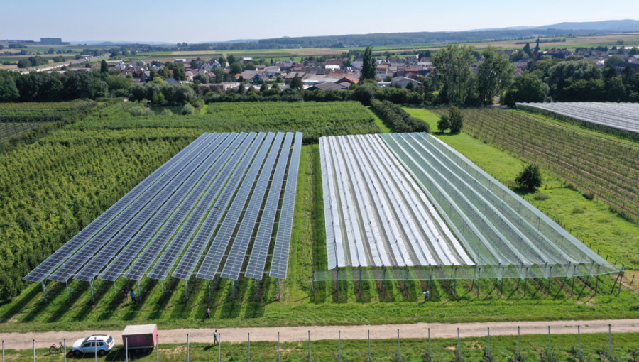 Public Support Rises for Agricultural Solar Systems