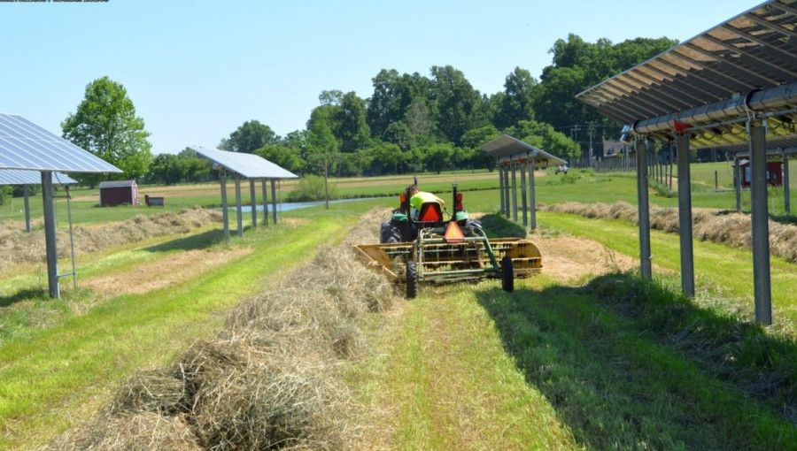 Renewable Energy Innovations Boost Agrivoltaics in the U.S.