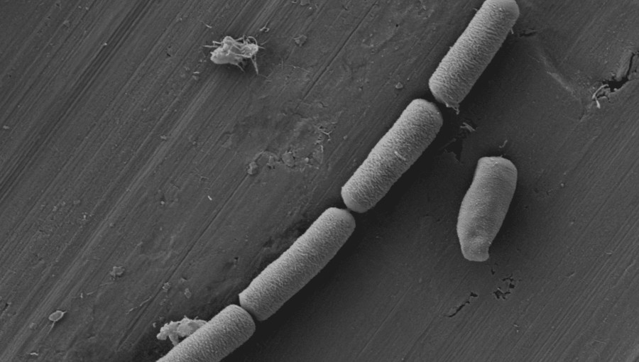 Researchers Turn Concrete into Innovative Energy Storage Solution