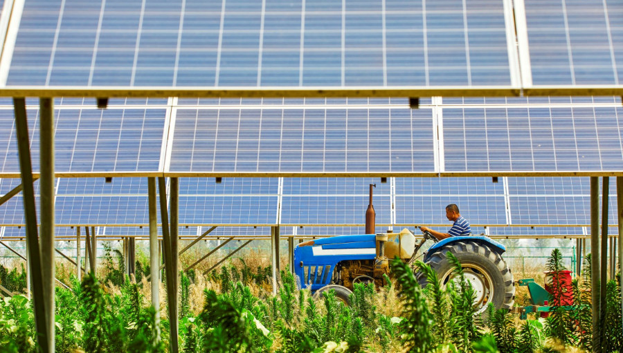 Revolutionizing Farming with Agrivoltaics: A Sustainable Future