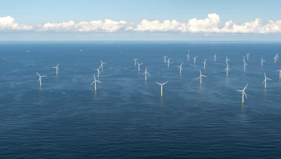 Sharks and Rays Found at Offshore Wind Farms in the Netherlands