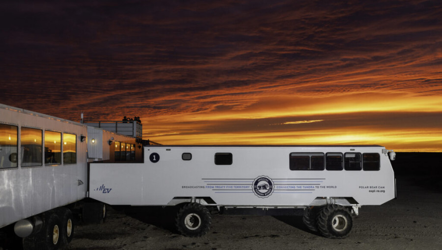 Silent Electric Buggy Revolutionizes Polar Bear Conservation