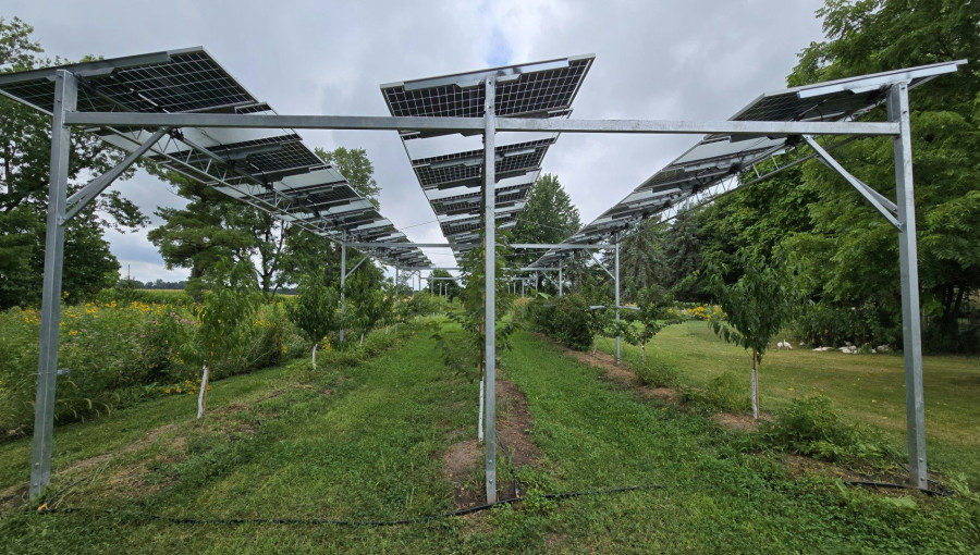Solar Panels Boost Crops Challenging New Alberta Ban