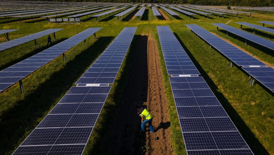 Solar Panels Shield Crops Better Than Traditional Windbreaks