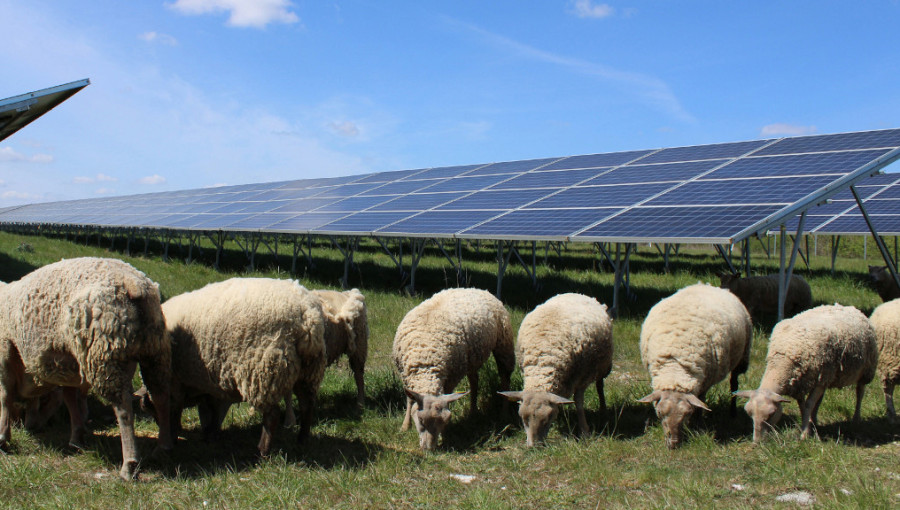 Solar Power Cultivates New Profits For Farmers