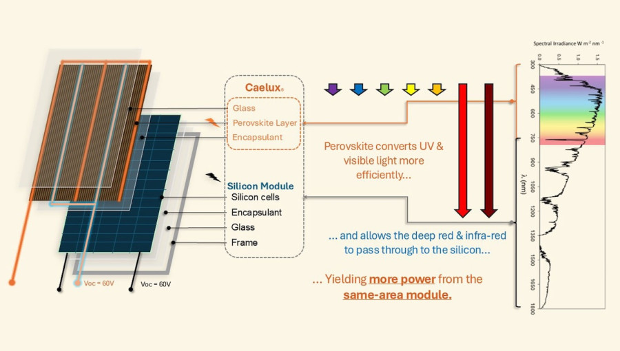 Solx And Caelux Launch Puerto Rico Solar Manufacturing