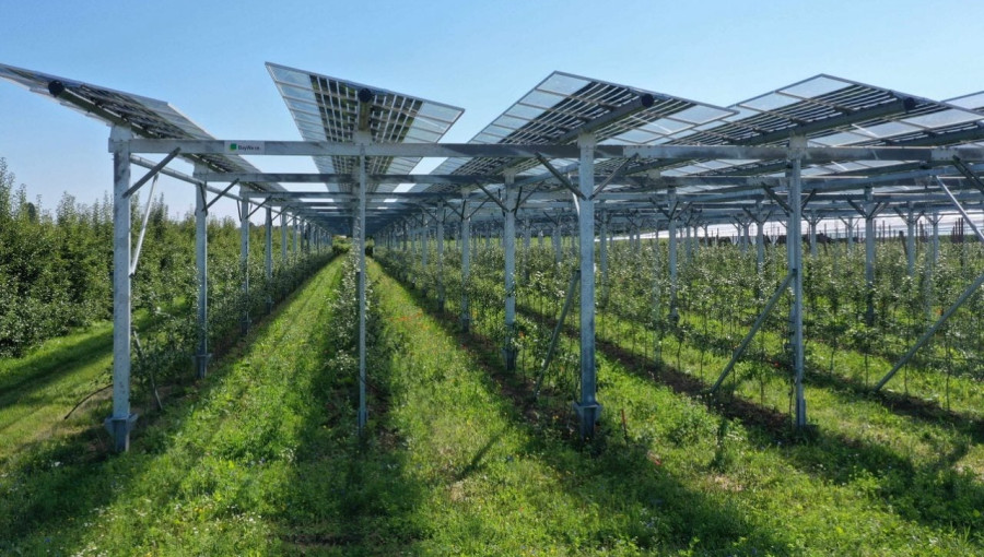Spain Embraces Agrivoltaics in Updated Agricultural Policy
