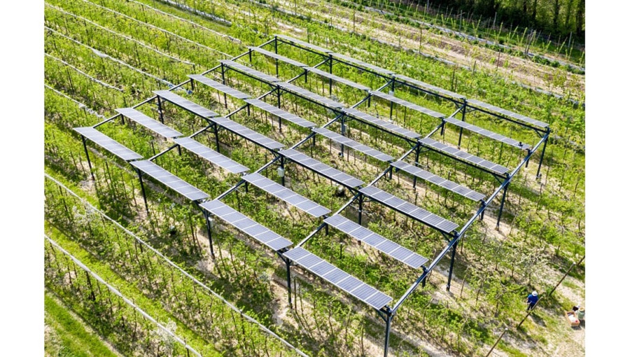 Washington Farms Could Unlock Clean Energy Potential